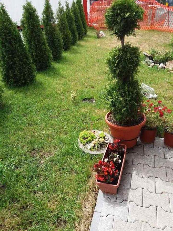 Lufi Penthouse Apartment Zlatibor Exteriér fotografie
